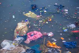 Plastic pollution <img fetchpriority=